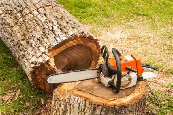 basic chainsaw mechanics